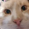 name_isnt_avalable
