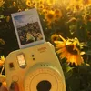 _sunflower.me00