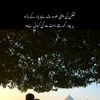 neelamhashmi219