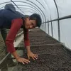 endra tuo