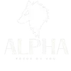 Alpha | Focus on you