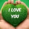 user46230717154307