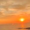 xime_65789
