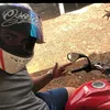 kpaiva_corujo