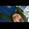 karel_ml