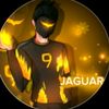 ff.jaguar3