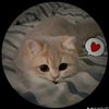 tima046111