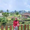 mitta2909