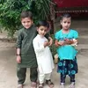 shahamnakhalid