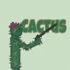 _cactus.0.splendido_