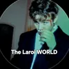 thelaroiworld