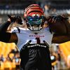 bengalszn