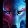aidenjames66