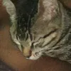 leticia_8374