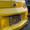 BabeBee