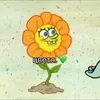 useracb2yryj0d
