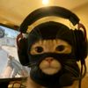 dbagusp_27