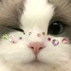 pinkeuponk