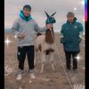 __ronymamani__n.100