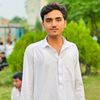 alp_janu
