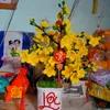 xuanloan49
