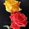 marc1_120