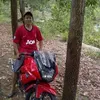 budiboncis