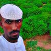 user70462578784671