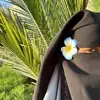 msssalma35