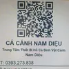 cacanhnamdieu