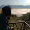 bodongtzi