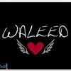 waleed.matoug.aboubaker