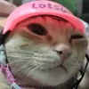 chanhbotbuixiluom