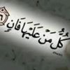 hamzamhamd