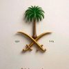 saber_elsayed