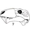 sarcastic_therapsid