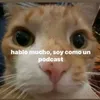 eleeena_niicc