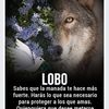 marthagalvan8440