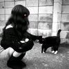 habibasameh955
