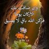 doaa7778