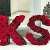 zohankhan362