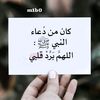 taraf_taraf