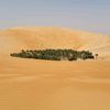 alqusaili_87