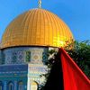 alaa12.com