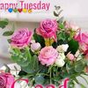 jeeva7551