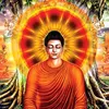 _thayhau5.1