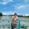 yingsenglao306