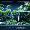 annhien_aquarium