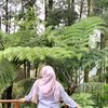 riantidirgha