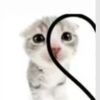 katthecat1234